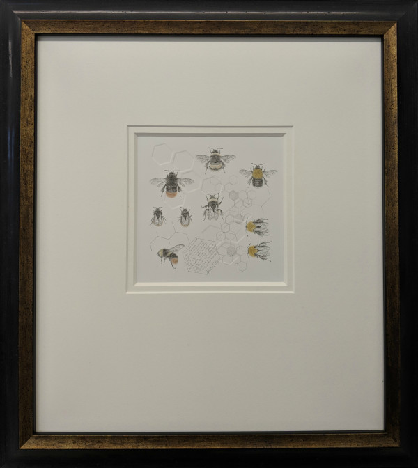 Study of a  BumbleBee 023 by Louisa Crispin