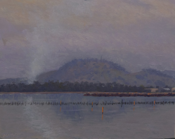 Signal Hill, The Burn, Study by Nigel Hewitt