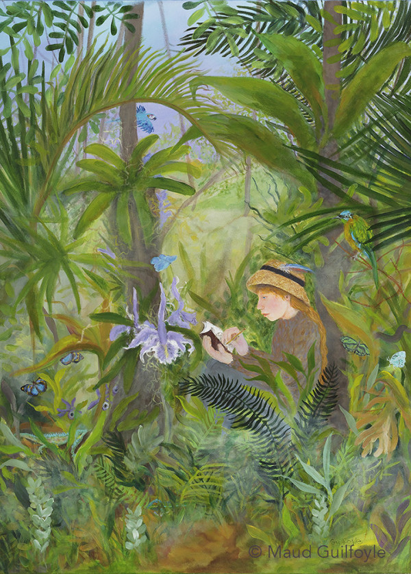 Rainforest Discovery by Maud Guilfoyle