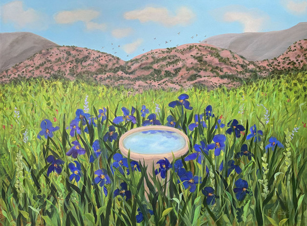Southwest Iris Garden by Maud Guilfoyle, Image 1.