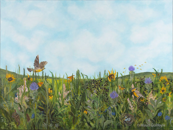 Kansas Meadow by Maud Guilfoyle