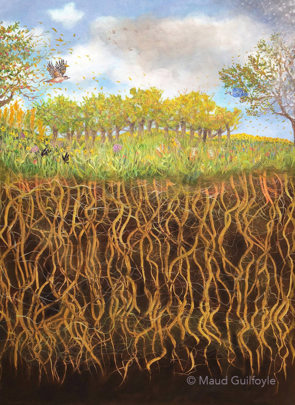 Autumn Roots by Maud Guilfoyle