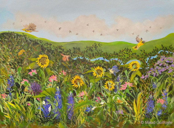 Sunflower Meadow by Maud Guilfoyle
