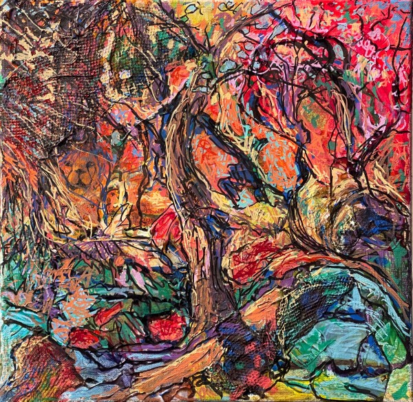 Hidden by Ann McMillan Chaikin
