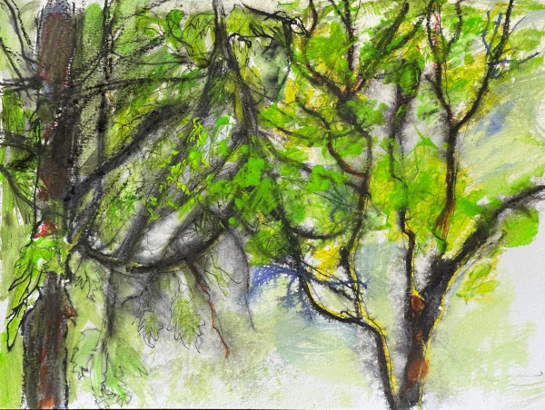Spring Trees