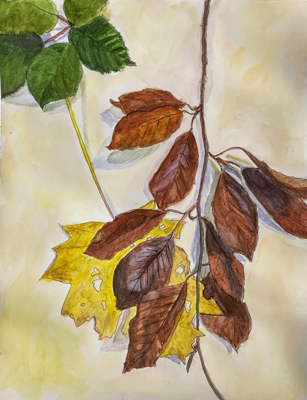 Fall Leaves
