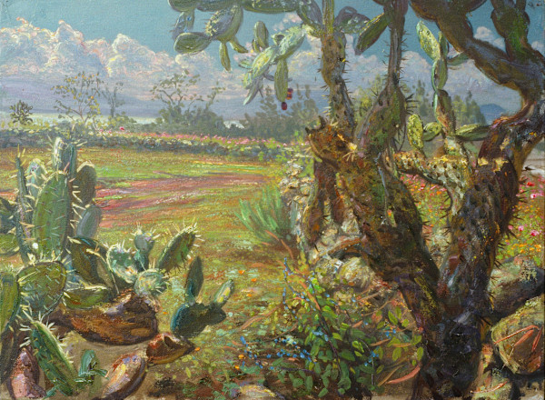 Cactus on the road to Lake by Anthony Holdsworth