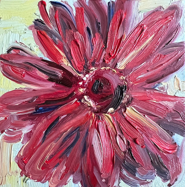 Red Gerbera Daisy by Nancy S Shippen