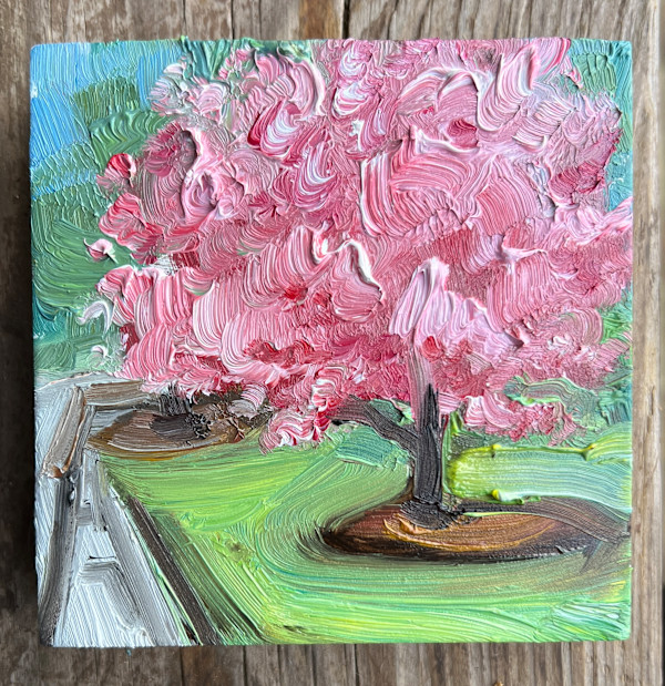 Cherry Tree by Nancy S Shippen