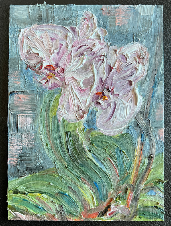 Orchid by Nancy S Shippen