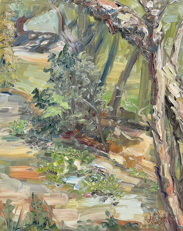 Peeling Bark and Lily Pads by Nancy S Shippen