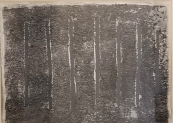 Dark Forest Experiment* by Harry Lum