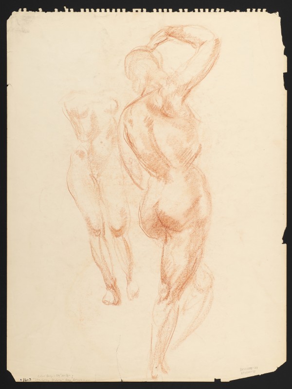 Standing Nudes by Ann Brockman