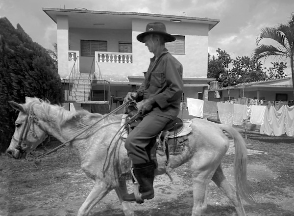 La Guardabosques Solitaria