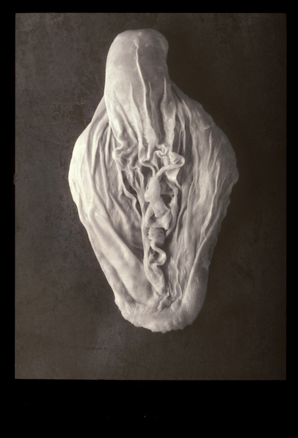 Becoming Series No. 2, 1994 by Mary Beth Heffernan
