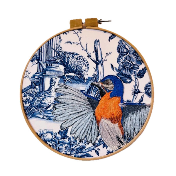 The Eastern Bluebird Shows Off Its Wings by Jennifer McBrien