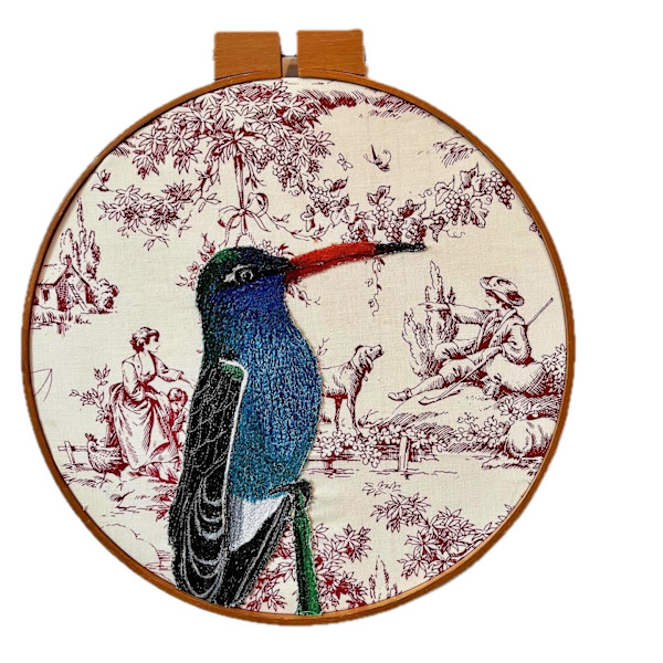 The Broad-billed Hummingbird Guards the Toile by Jennifer McBrien