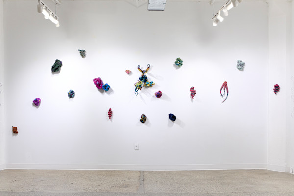 Installation: Coral by Ann Vollum