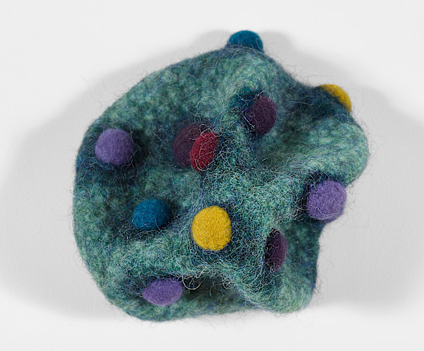 Spotted Mushroom by Ann Vollum