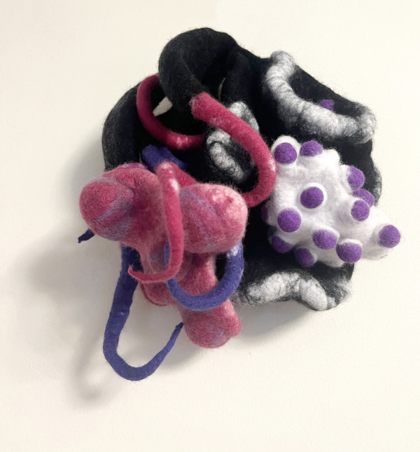 Octopussy! by Ann Vollum