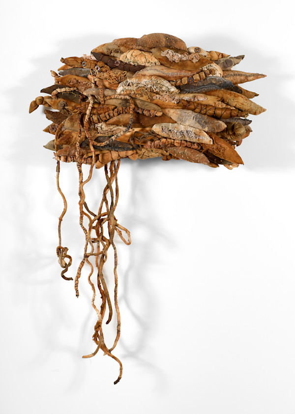 Primal by Ann Vollum