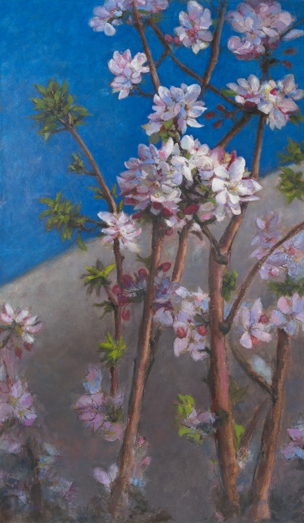 Cherry Blossoms by Deanne Kroll