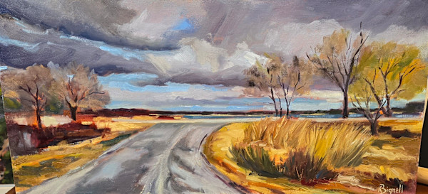Aproaching Storm by Kathleen Bignell
