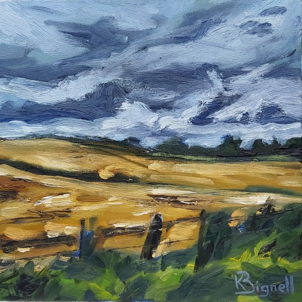Clouds are rolling in by Kathleen Bignell