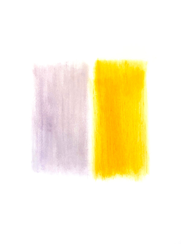 Red Impatiens, Orange Marigold by Kathleen Greco