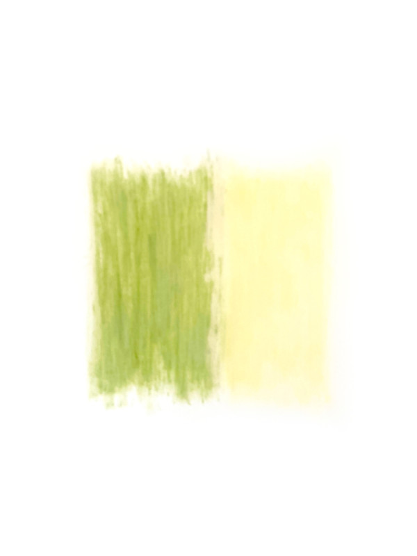 Orange Begonia, Yellow Pansy by Kathleen Greco