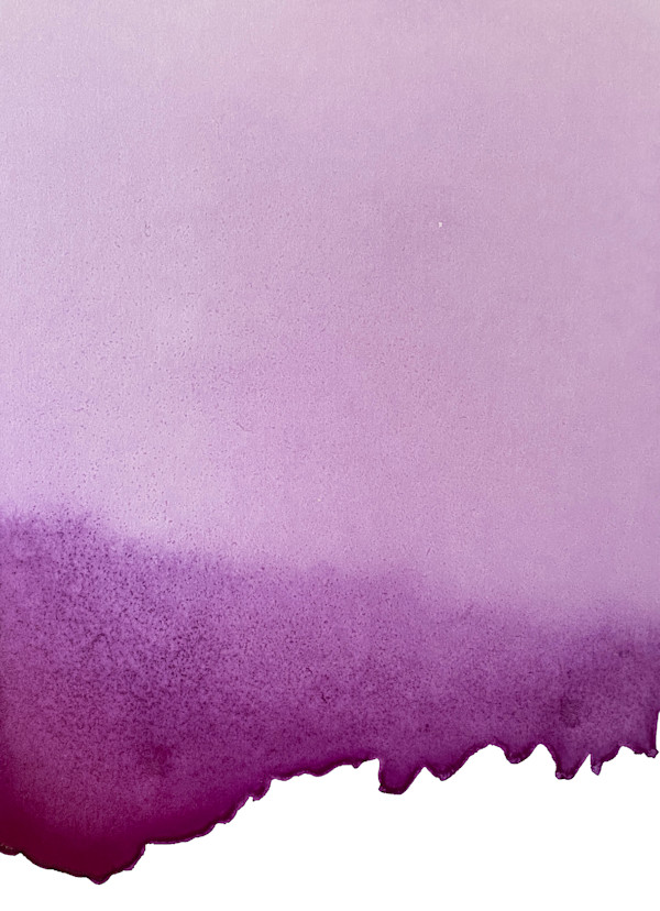 Purple Cyclamen by Kathleen Greco