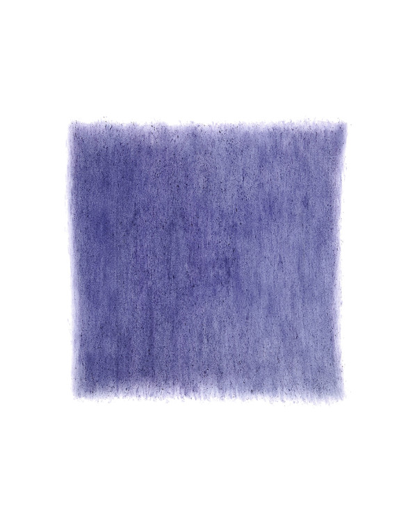 Purple Lisianthus by Kathleen Greco