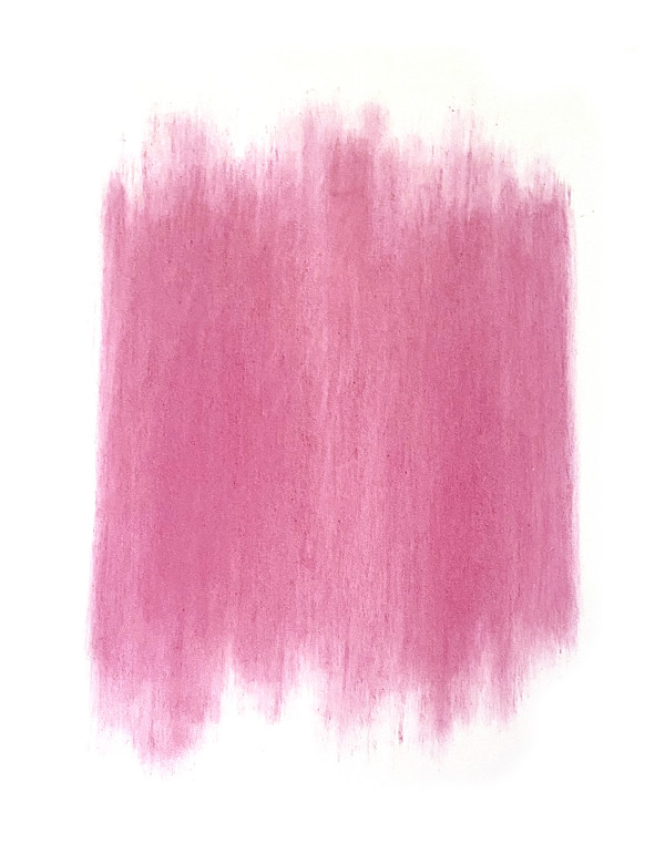 Pink Carnations 02 by Kathleen Greco