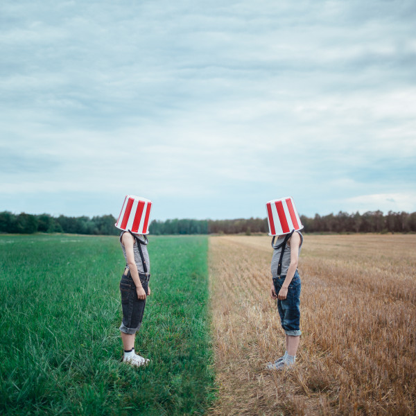 Cornfield by Dasha Pears