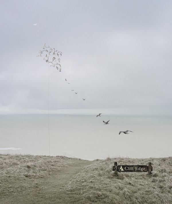 Cliff Edge by Dasha Pears