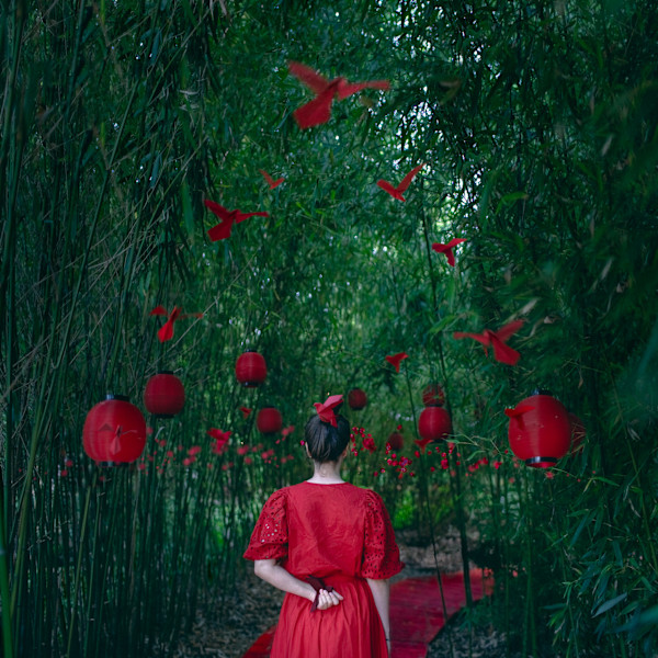 Fire Garden by Dasha Pears, Image 1.