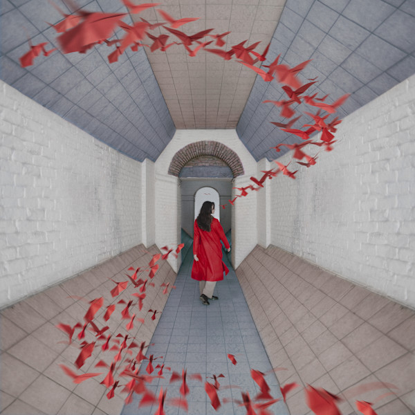 Follow Me by Dasha Pears