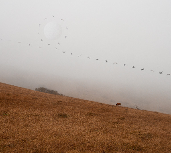 In the Fog by Dasha Pears