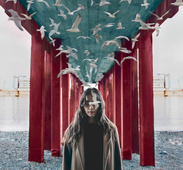 Red Gates by Dasha Pears