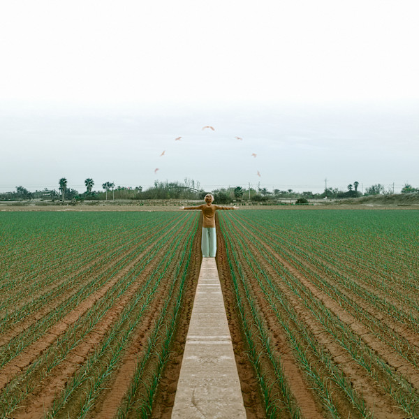 Where Threads Meet by Dasha Pears