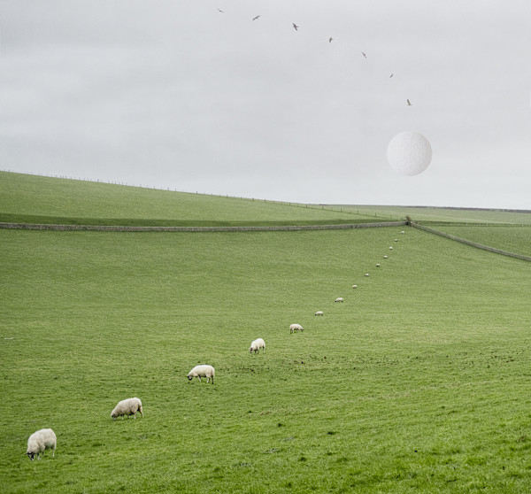 Cycles by Dasha Pears