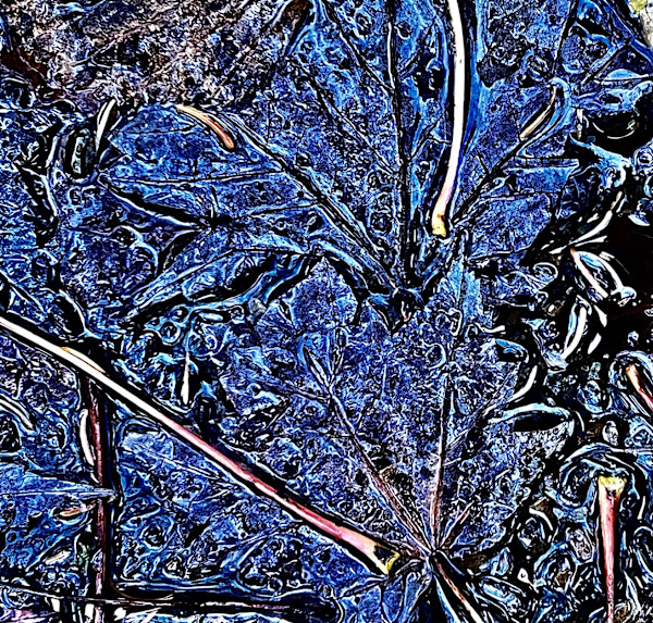 Fond bleu / Blue Background by GAGNE