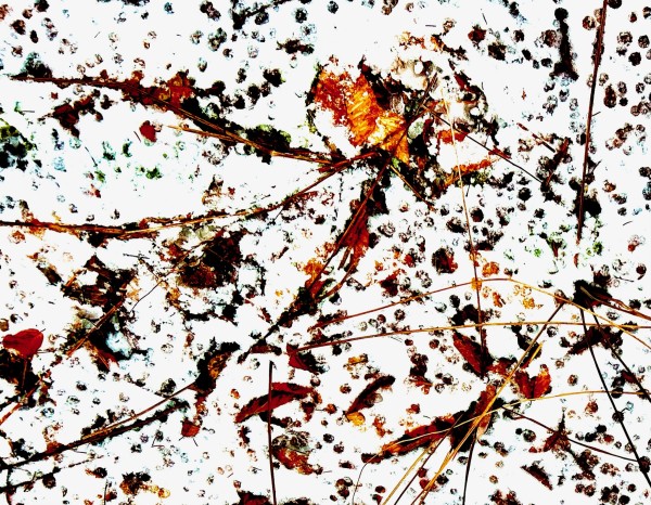 Social Networks by GAGNE