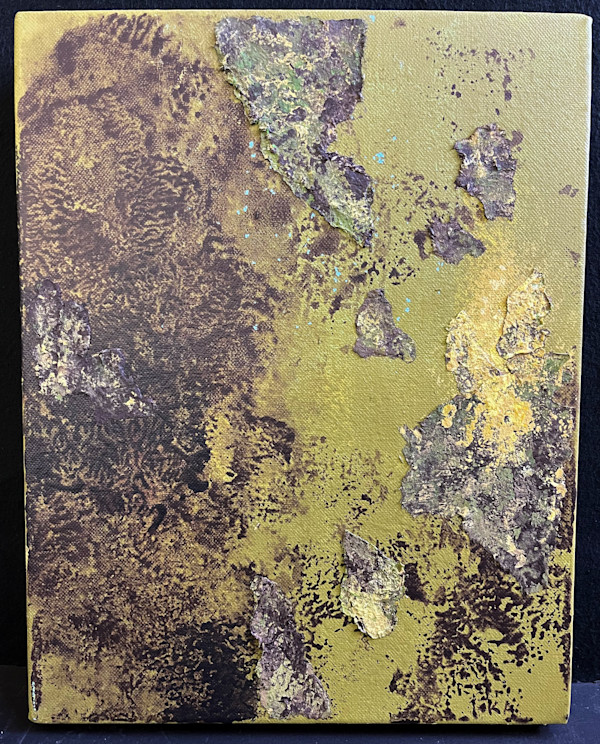 FOREST SEEN(s) by Keith Achepohl Trust