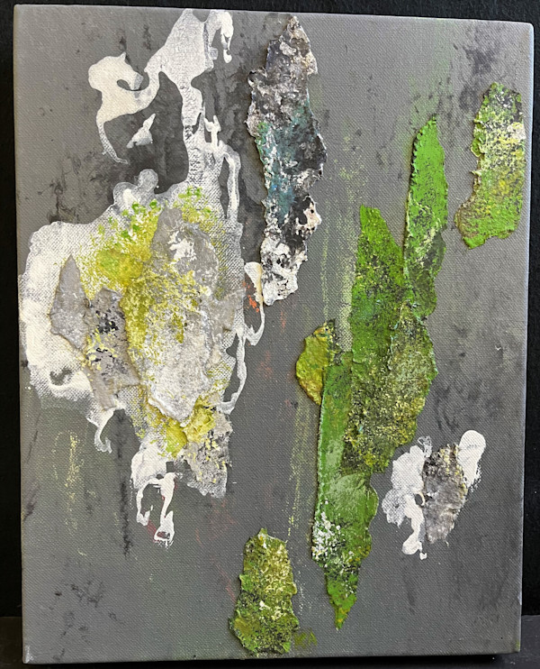 FOREST SEEN(s) by Keith Achepohl Trust