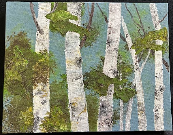 FOREST SEEN(s) by Keith Achepohl Trust