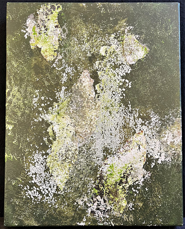 FOREST SEEN(s) by Keith Achepohl Trust