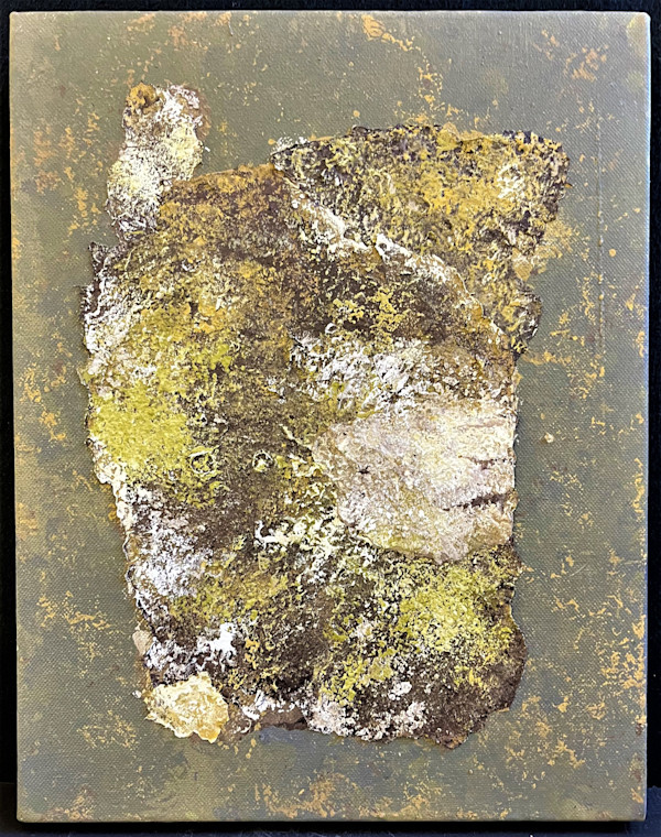FOREST SEEN(s) by Keith Achepohl Trust