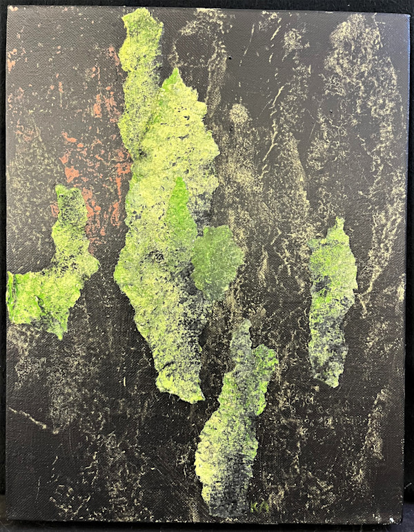 FOREST SEEN(s) by Keith Achepohl Trust