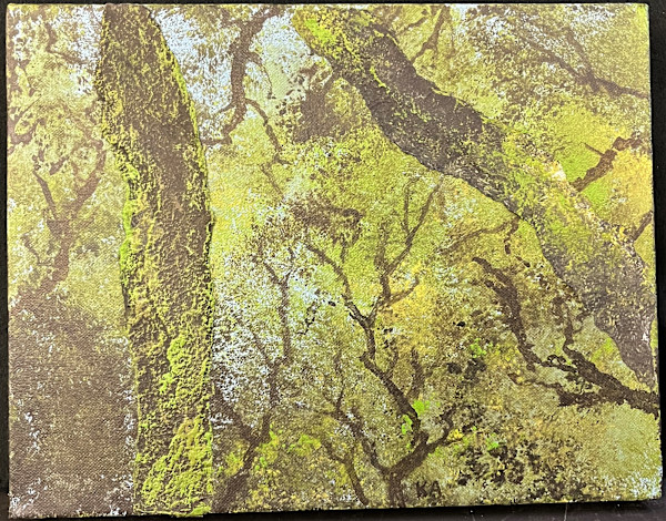 FOREST SEEN(s) by Keith Achepohl Trust